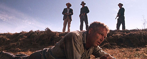 Paul Newman in «Cool Hand Luke»