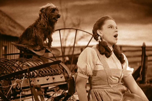 Terry und Judy Garland in «The Wizard of Oz»